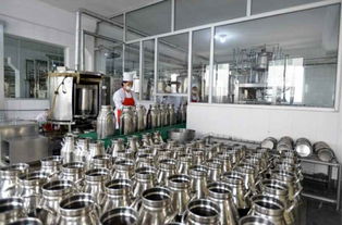 金正恩視察平壤兒童食品廠，鼓勵打造世界領先工廠